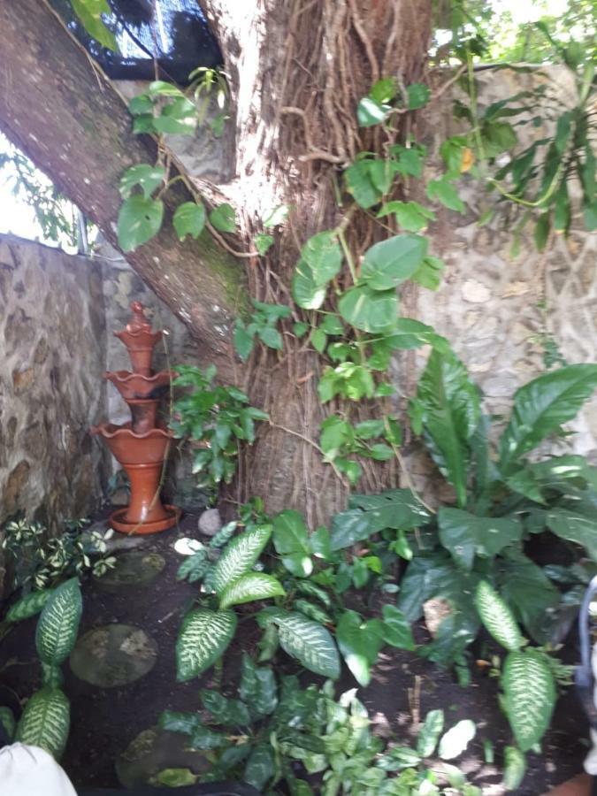 Hotel Alcaldeza - Garden House Santo Domingo Exterior foto
